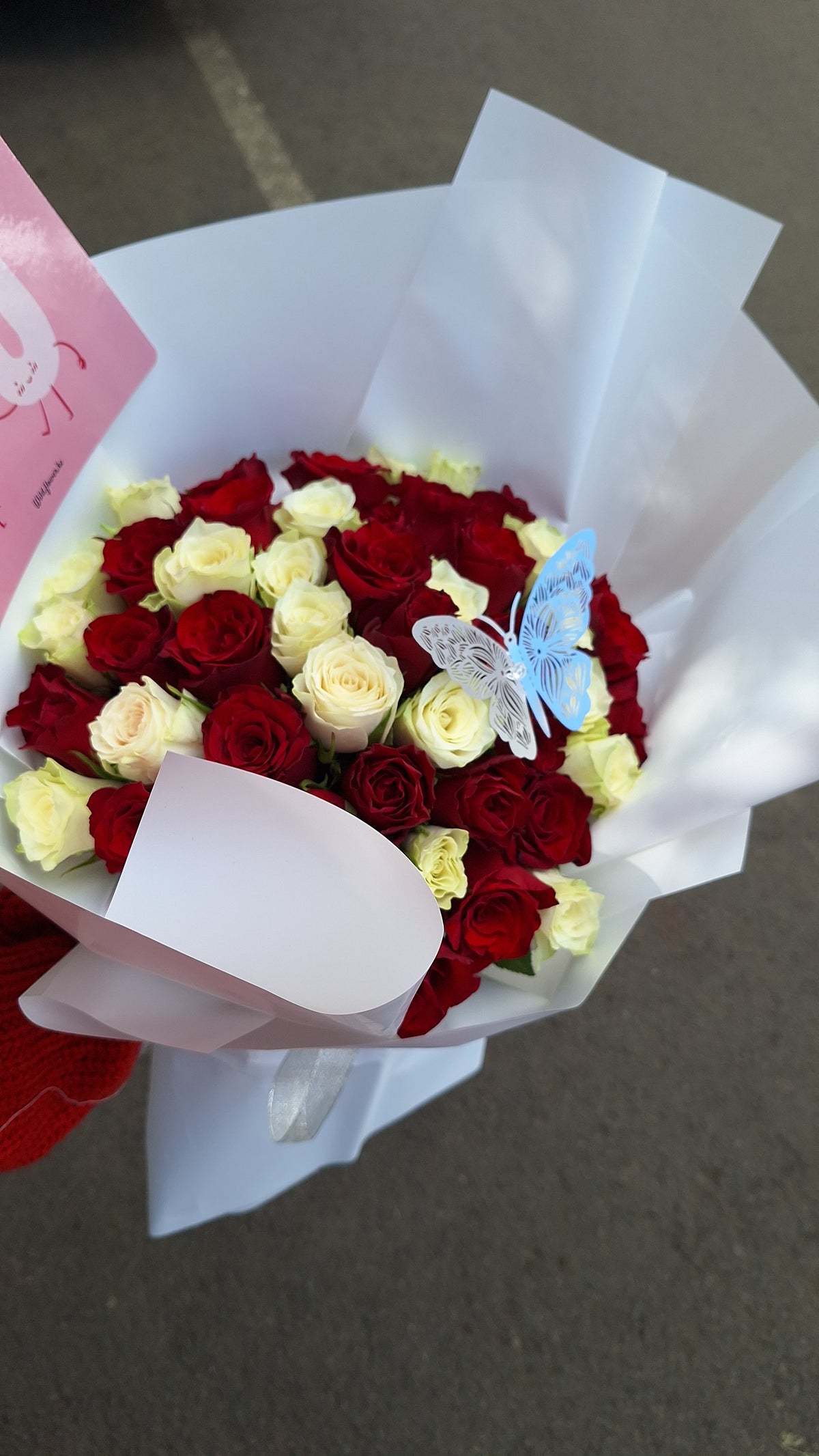 White and red roses