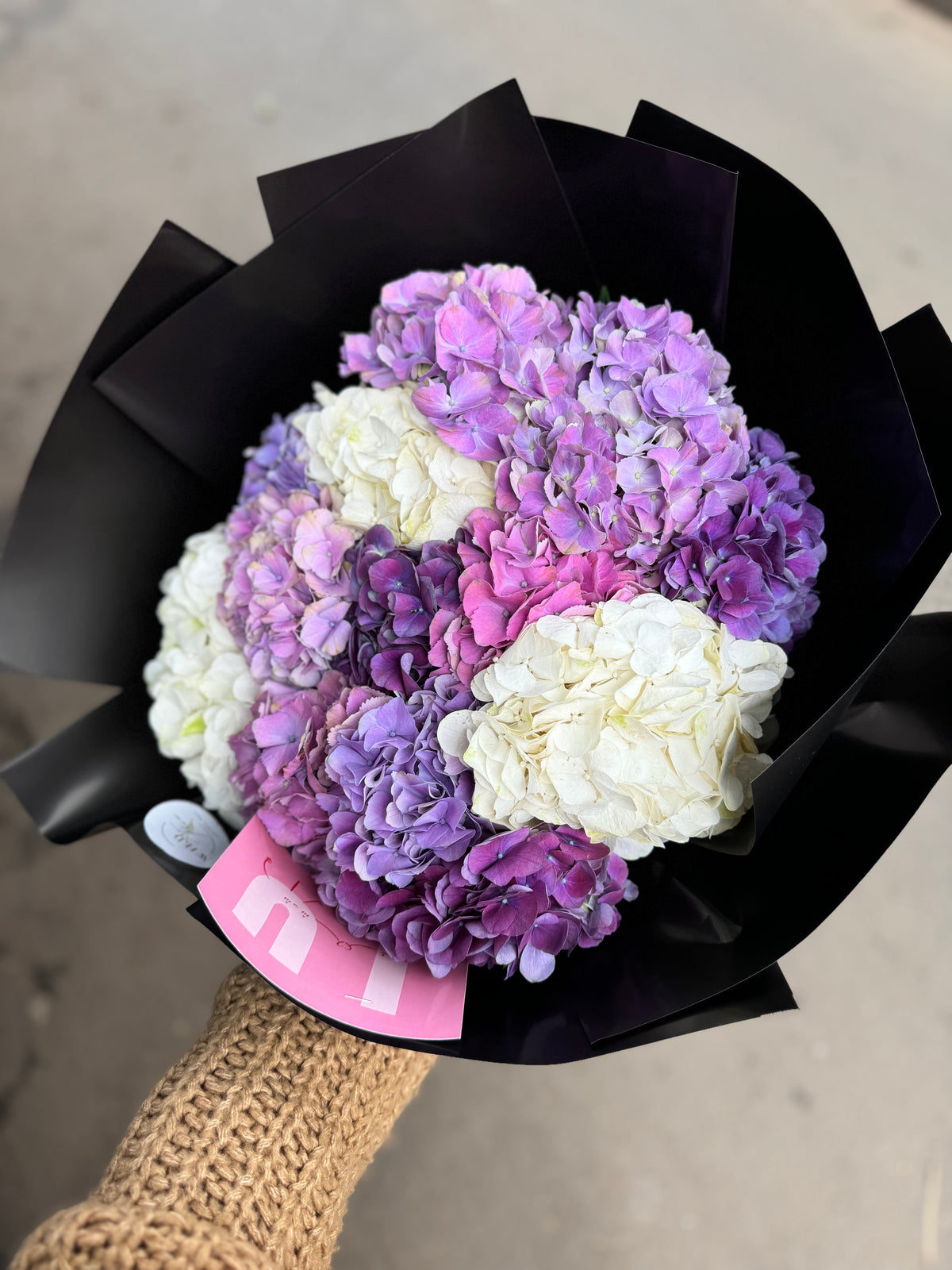 Purple Mix Hydrangeas