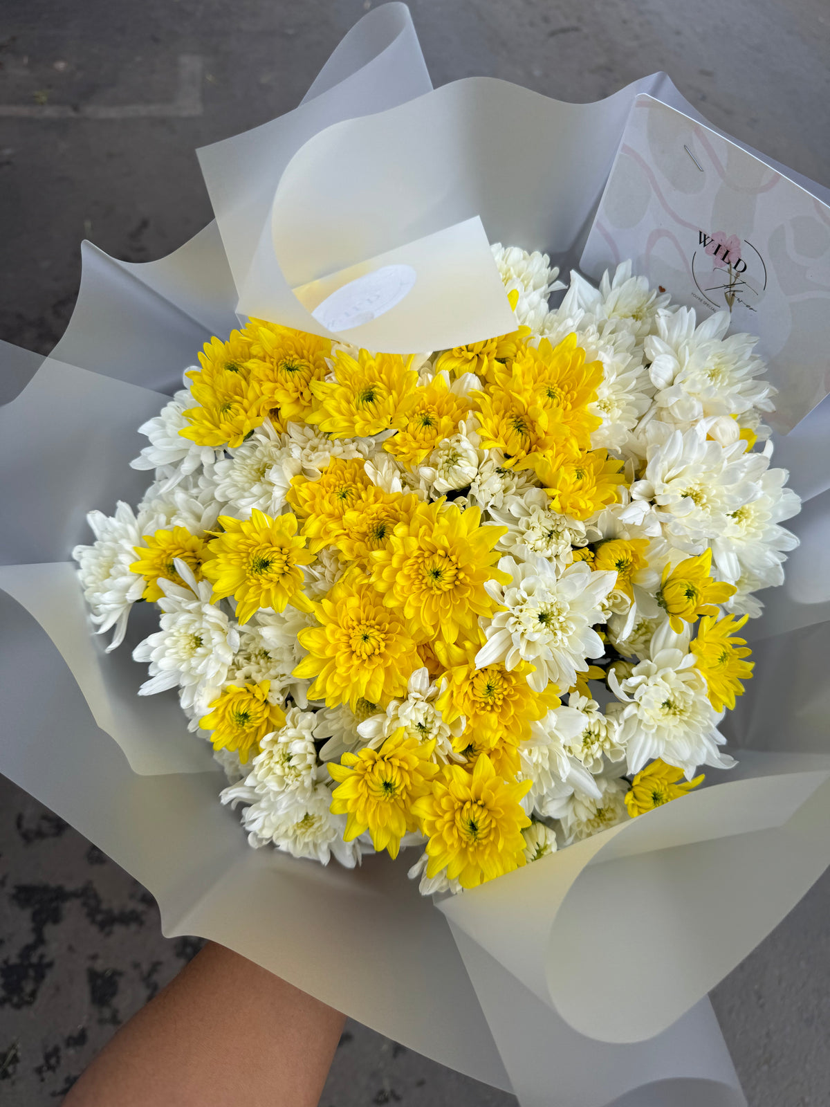 Brighter days- White and Yellow Chrysathemums