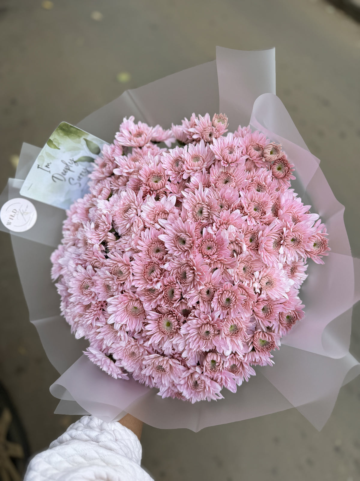 Lilac chrysanthemums Bouquet.